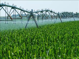 ضرورت خروج از کشاورزی سنتی و حرکت به سمت کشاورزی مدرن، نوین و هوشمند در مازندران